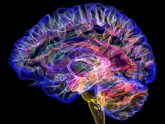 澳门金沙av品善网大脑植入物有助于严重头部损伤恢复